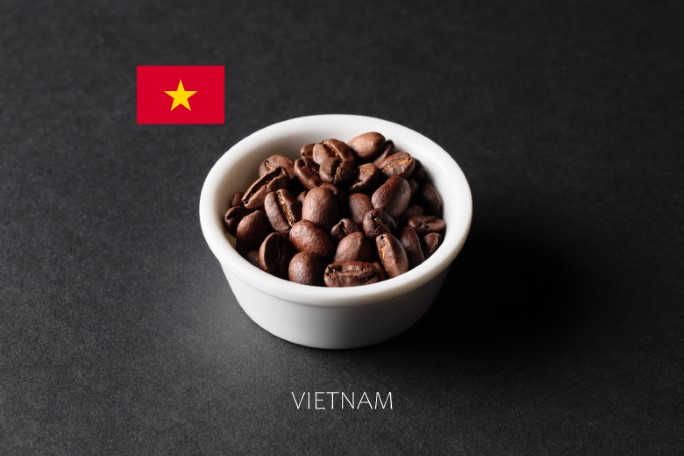 コーヒー豆（VIETNAM）