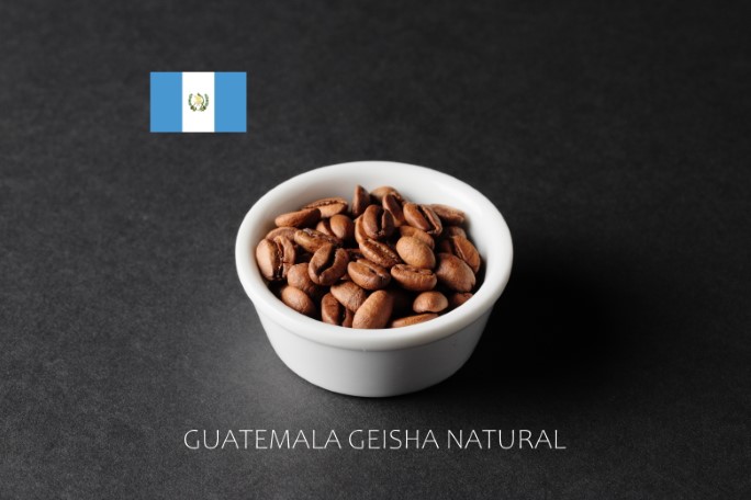 コーヒー豆（GUATEMALA GEISHA NATURAL）