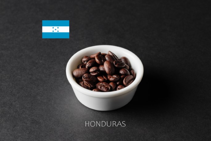 コーヒー豆（HONDURAS）