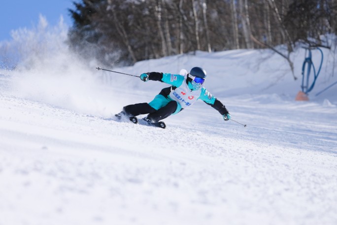 skier