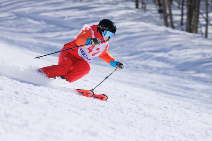 skier